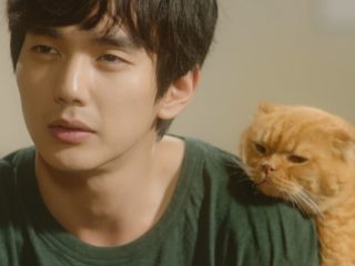 想像猫 韓国ドラマ 感想 視聴率